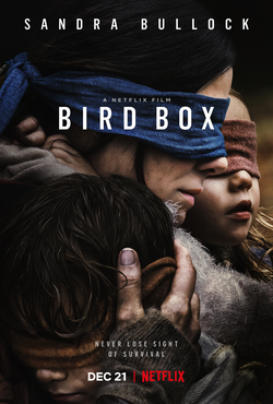 Bird Box poster copyright belongs to Netflix