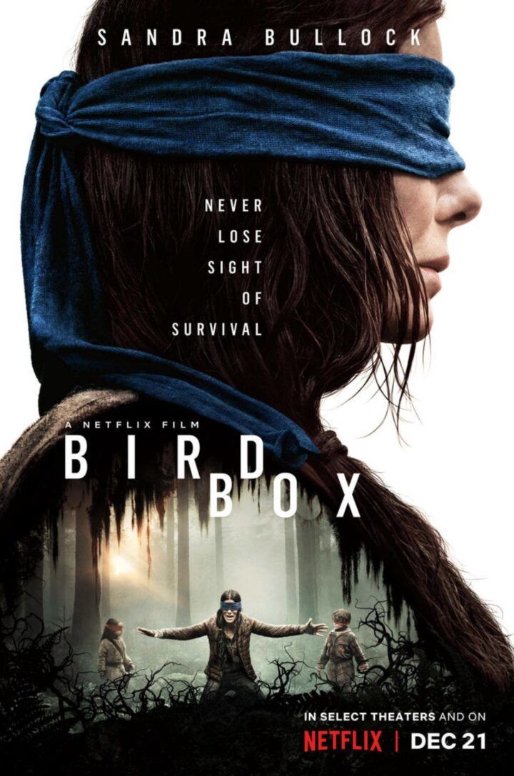 Bird Box poster copyright belongs to Netflix